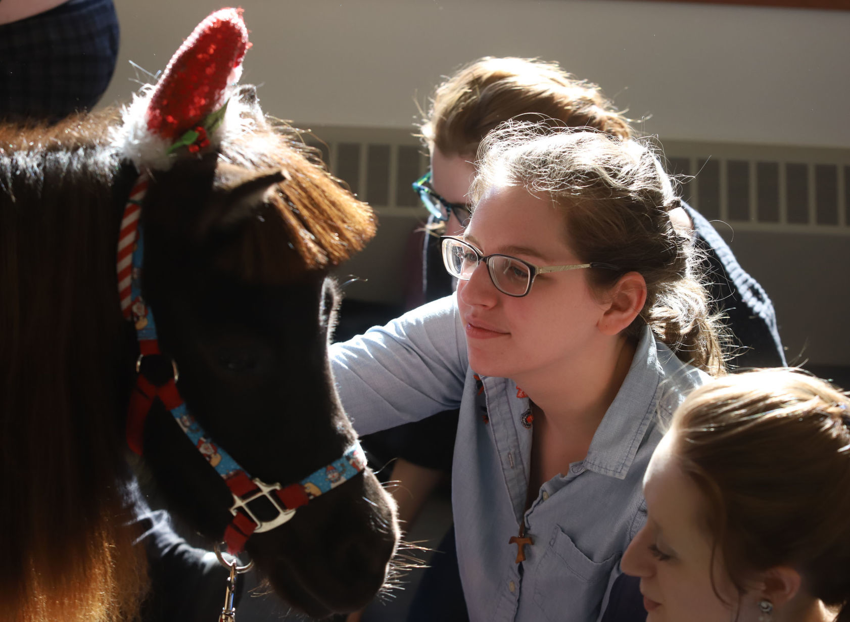 mini therapy horses 18 12.12.18.jpg